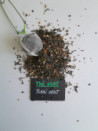 TCHAI VERT Epices indiennes