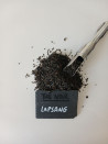 LAPSANG Fumé