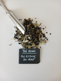 AU RYTHME DU VENT Coco Citron vert combava
