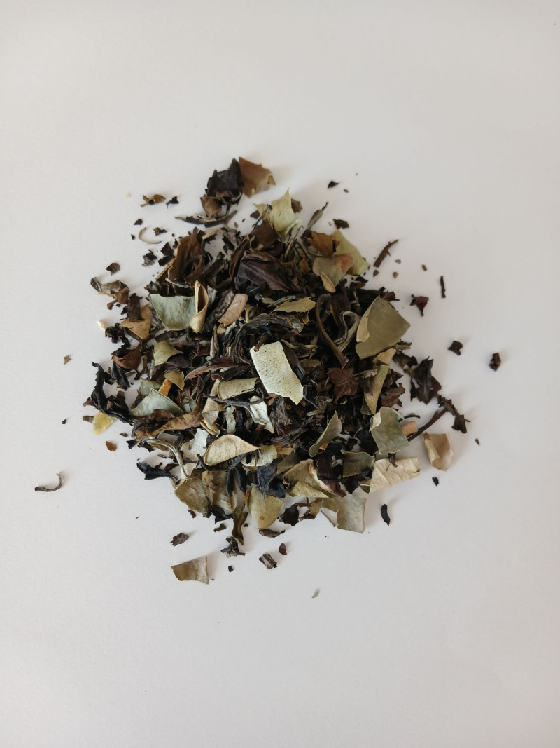 AU RYTHME DU VENT Coco Citron vert combava